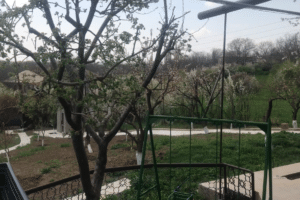 Առանձնատուն շտապ