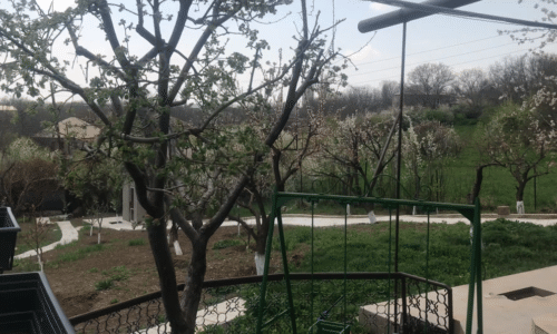 Առանձնատուն շտապ