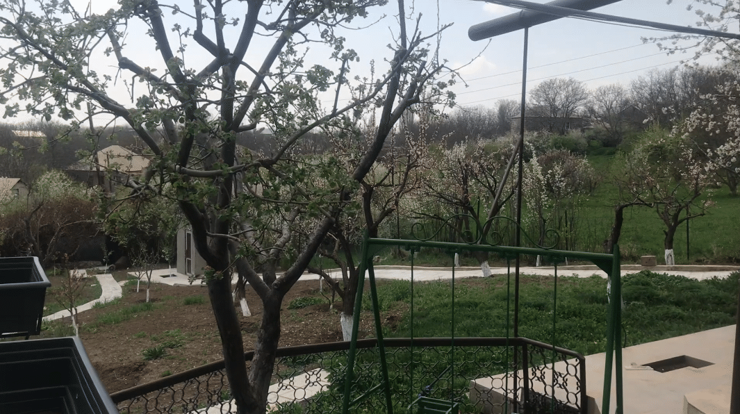 🆕 Առանձնատուն շտապ