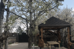 Առանձնատուն շտապ