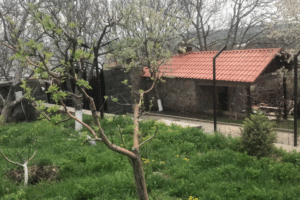 Առանձնատուն շտապ