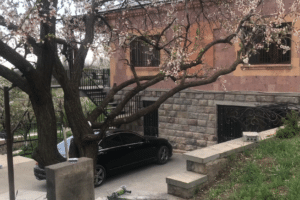 Առանձնատուն շտապ